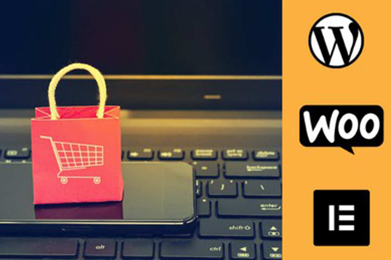 Build Ecommerce Website For online Business with WordPress